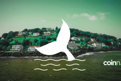 Deep Ocean House, RWA inwestycje nieruchomości na blockchainie